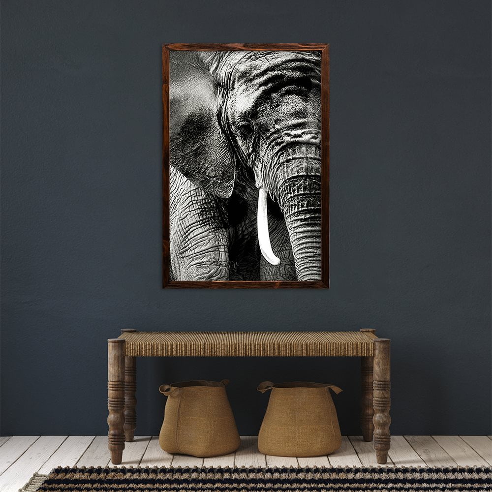 ELEPHANT PORTRAIT