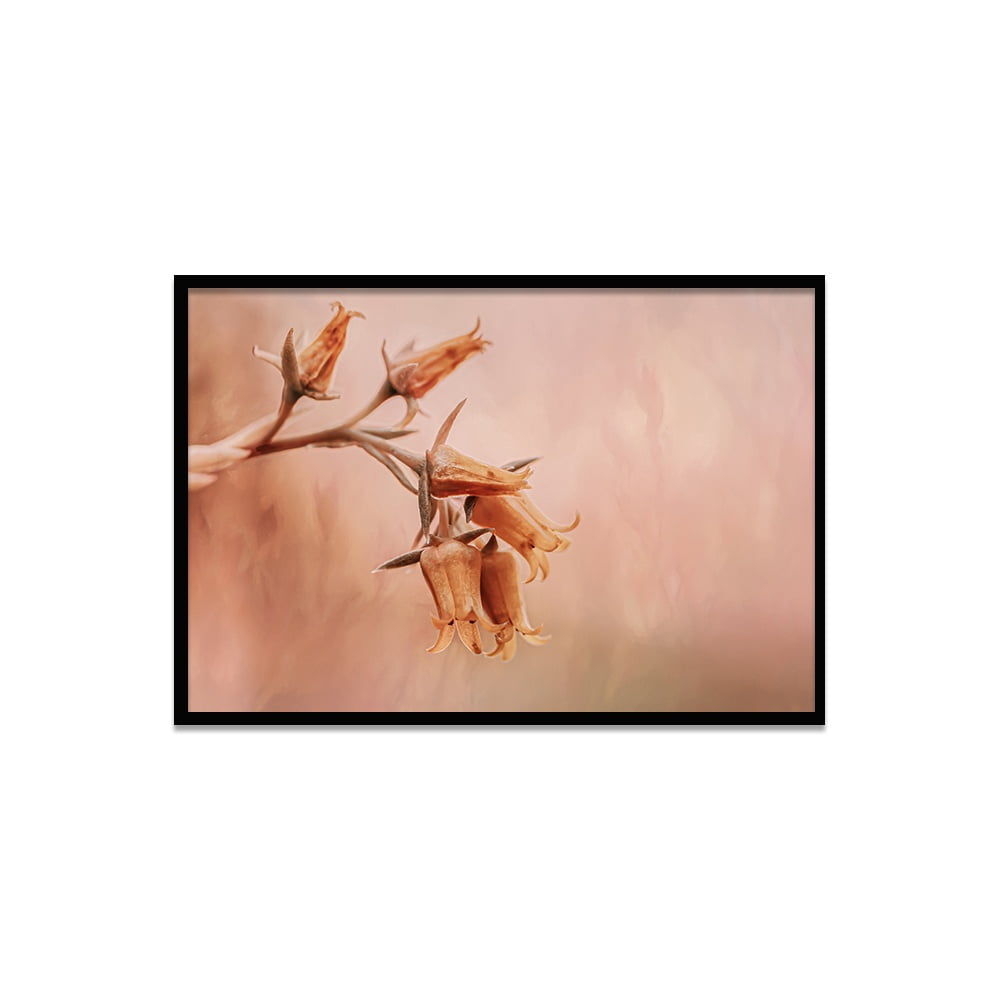Composite Framed Canvas 50X75 FIRE FLOWER