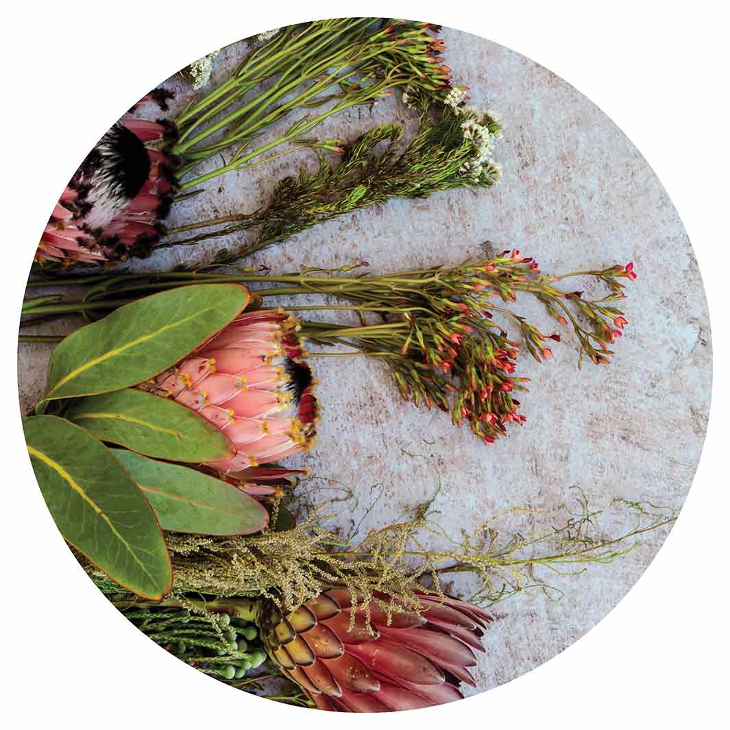 FLORAL PINK MIXED PROTEAS WITH GREEN FOLIAGE ROUND COFFEE TABLE