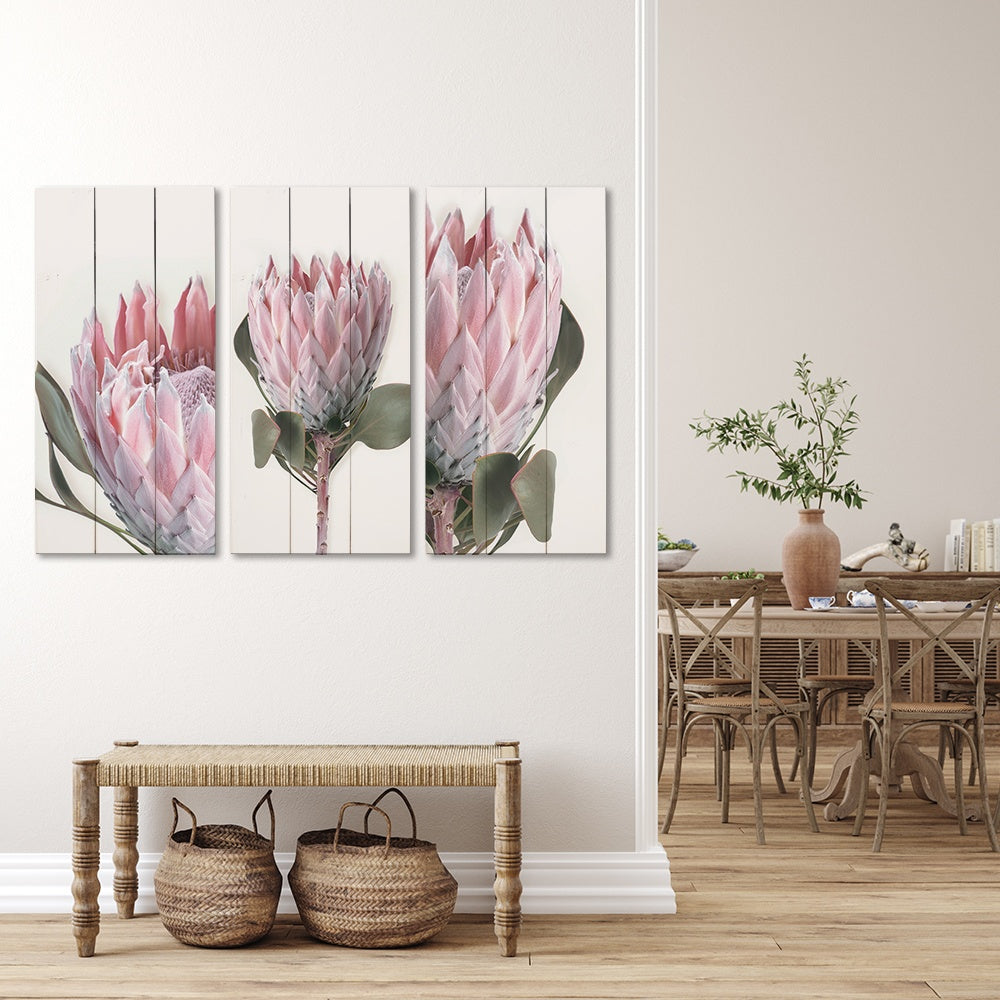 MDF 3PCE COLLAGE Pink Protea
