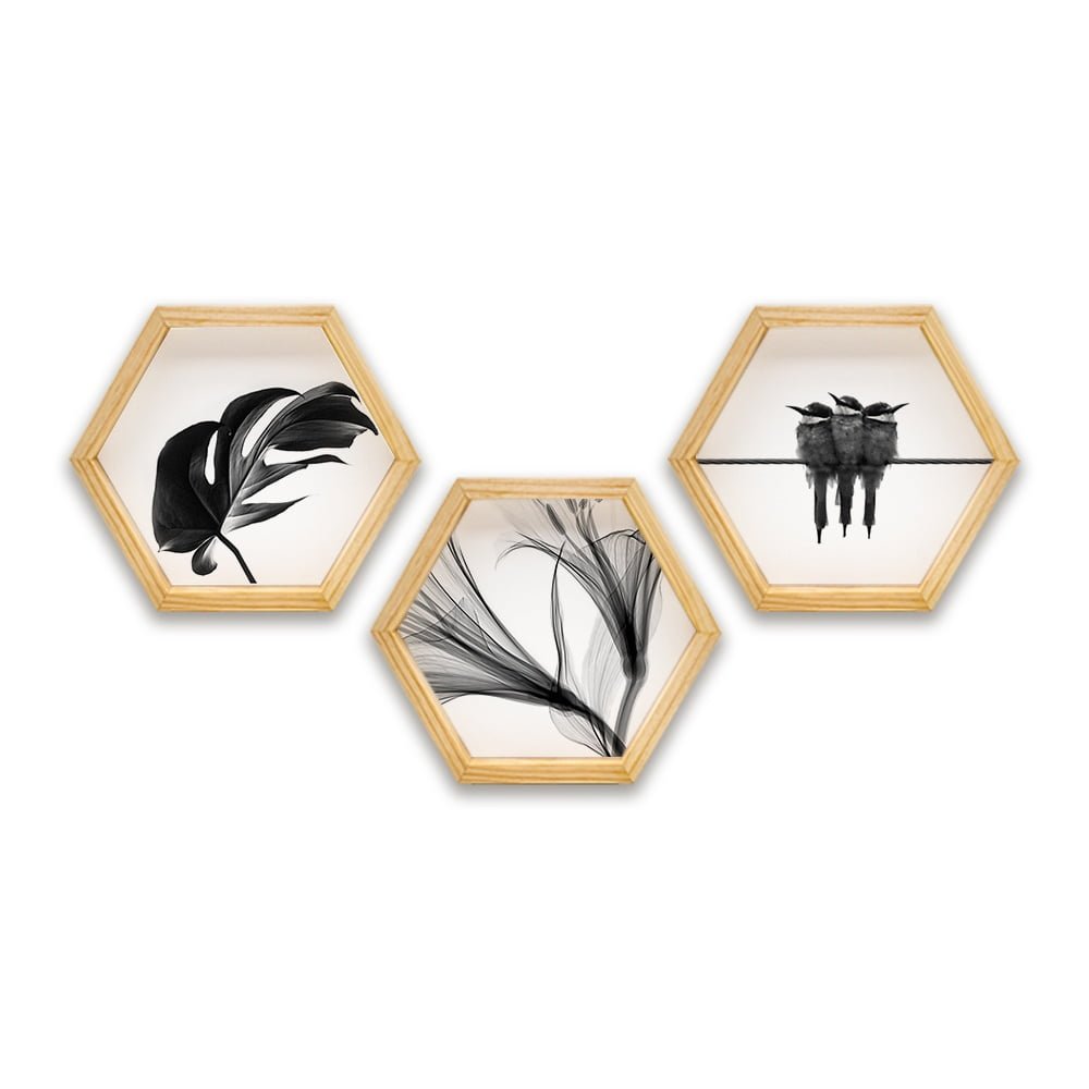 PINE BOXED CANVAS HEXAGONAL 3PCE COLLAGE B&W LEAVES & BIRDS