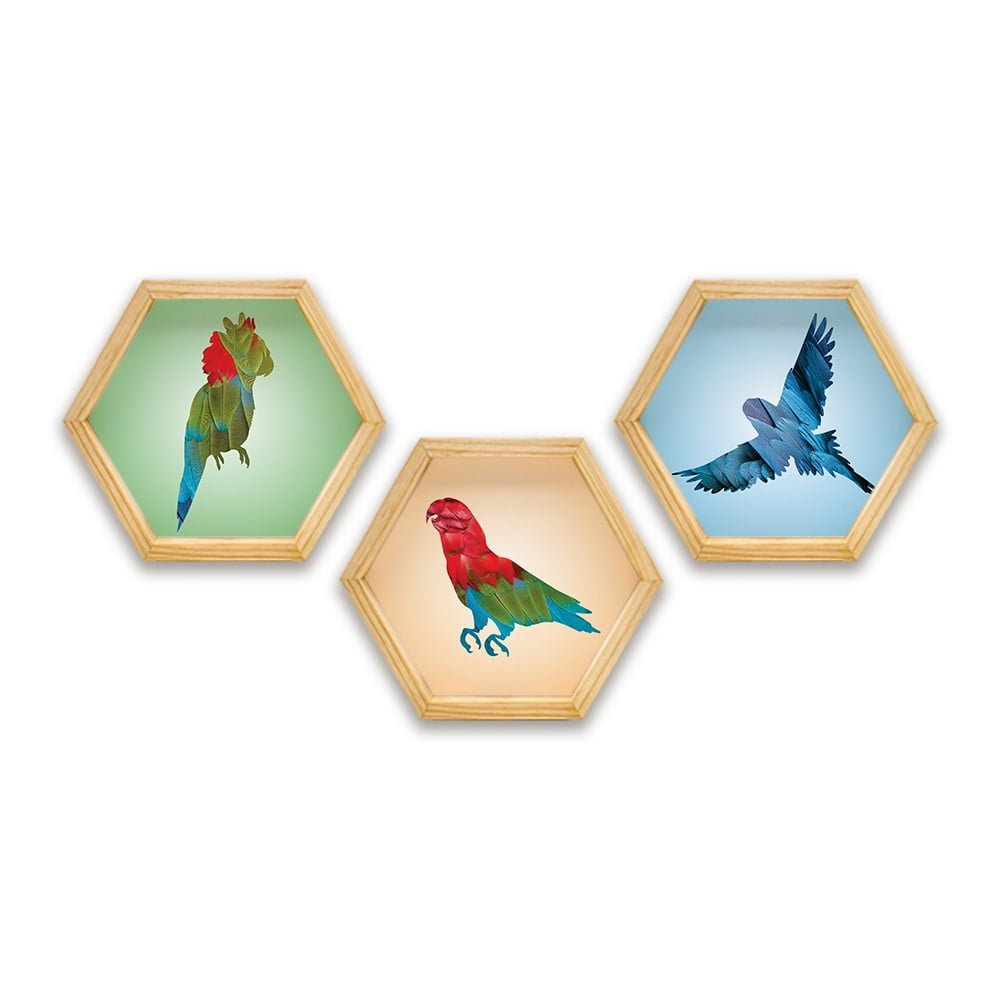 PINE BOXED CANVAS HEXAGONAL 3PCE COLLAGE MACAW
