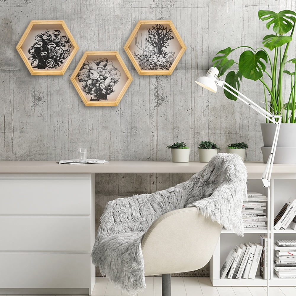 PINE BOXED CANVAS HEXAGONAL 3PCE COLLAGE REEF PLANTS