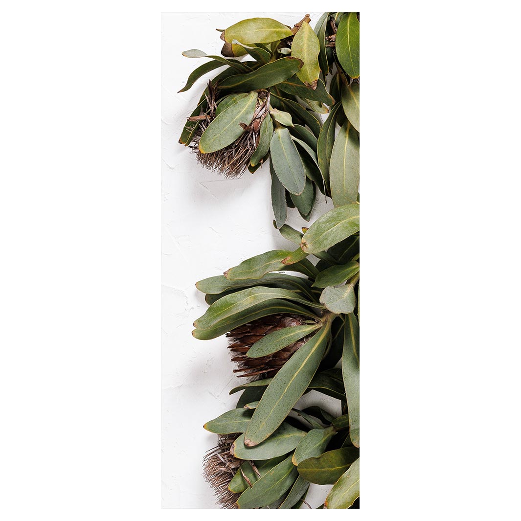 DRIED PROTEA WITH GREEN LEAVES ROOM DIVIDER