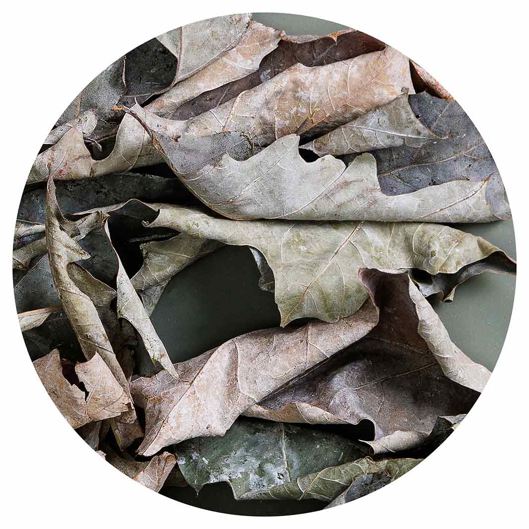 MONOCHROMATIC GREY GREEN LEAVES POT STAND