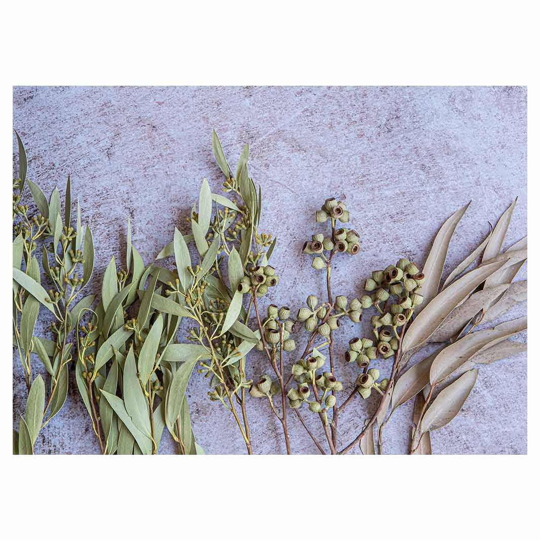 LEAVES BROWN NATURAL AMBERNUTS WITH GREEN FOLIAGE TABLECLOTH