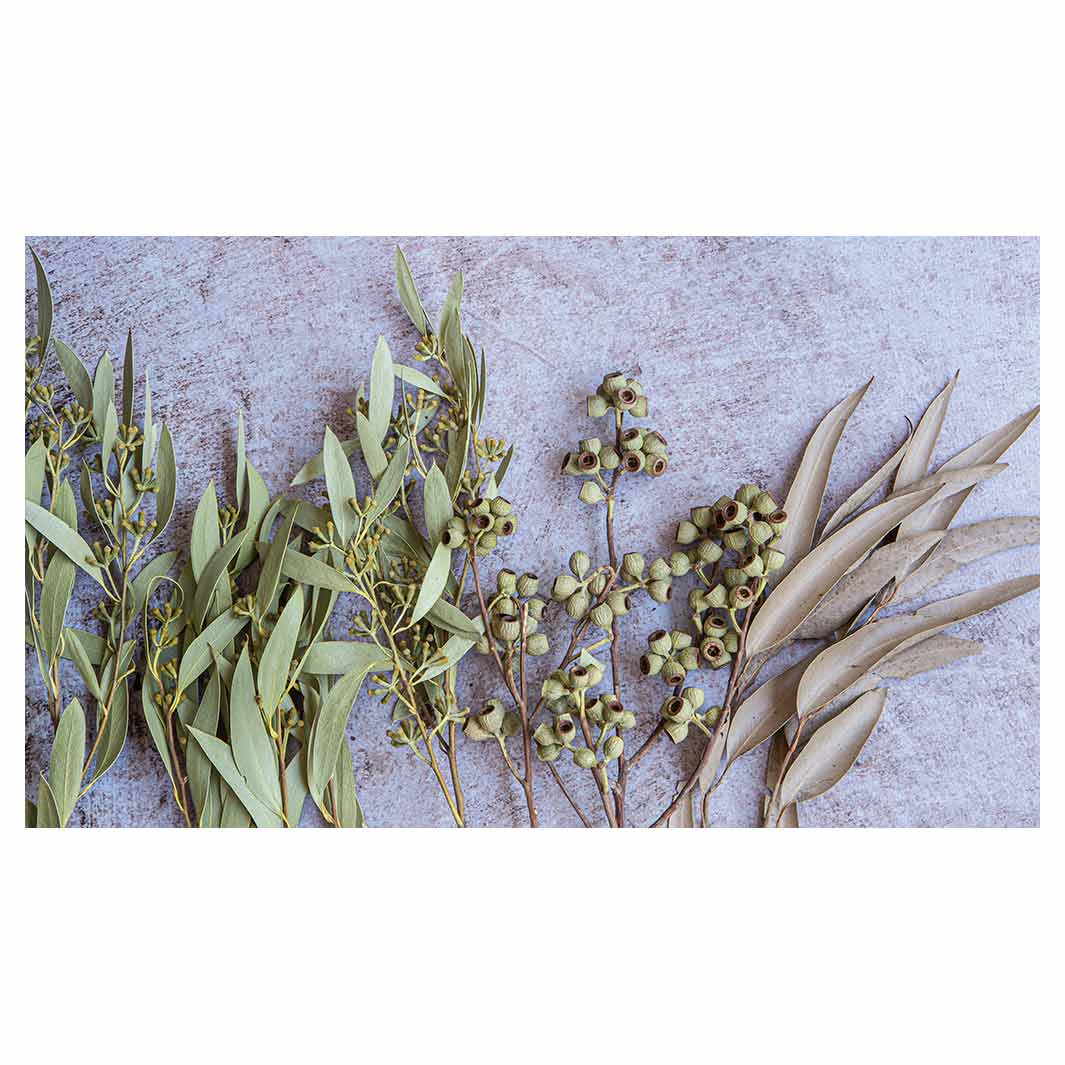 LEAVES BROWN NATURAL AMBERNUTS WITH GREEN FOLIAGE TABLECLOTH