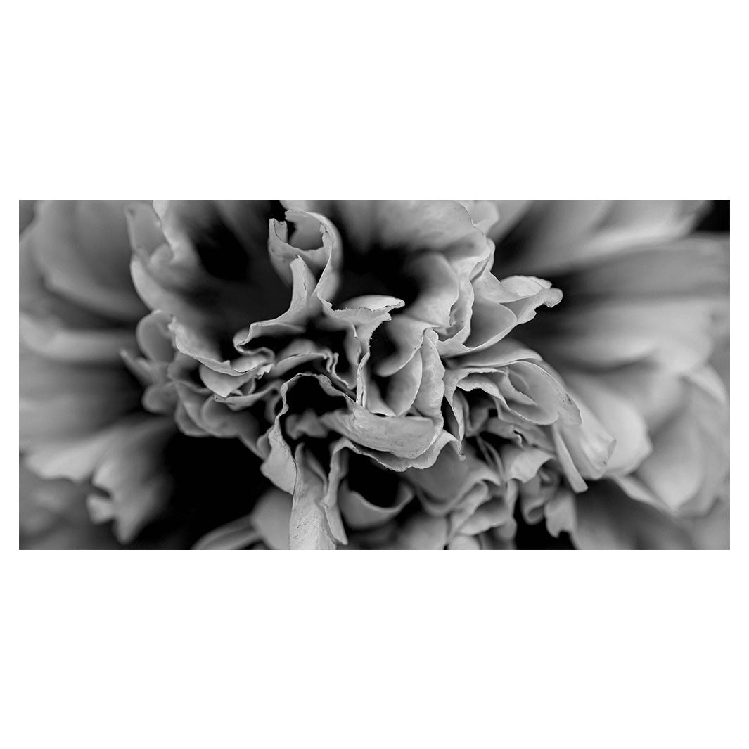 FLORAL BLACK AND WHITE PEONY TABLECLOTH