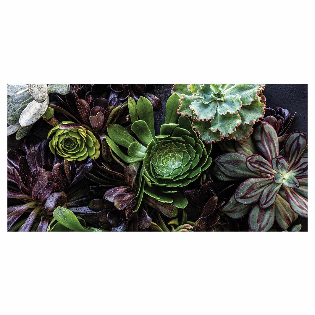 NATURAL GREEN AND PURPLE ALOE GARDEN TABLECLOTH