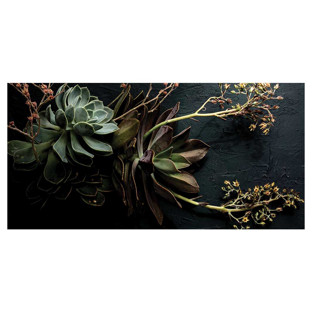 NATURAL GREEN ALOE BUSH WITH LEAVES TABLECLOTH