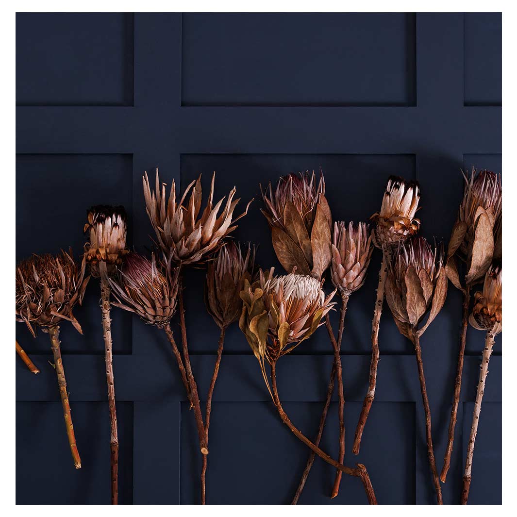 GOLDEN PROTEA ARRANGEMENT ON DARK BLUE TABLECLOTH