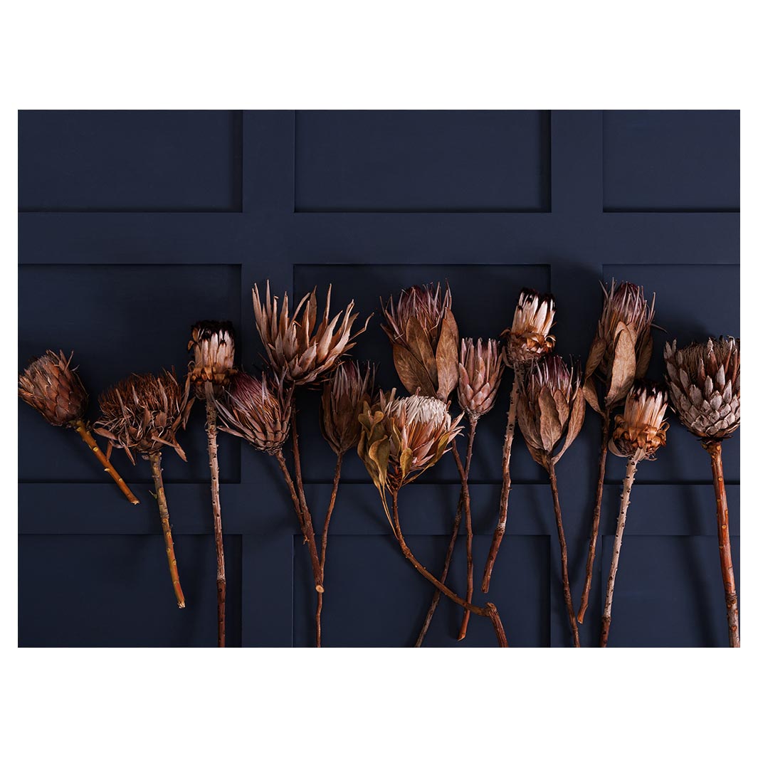 GOLDEN PROTEA ARRANGEMENT ON DARK BLUE TABLECLOTH