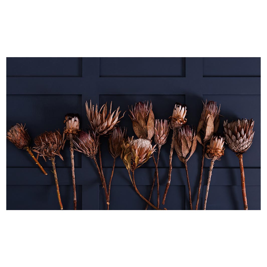 GOLDEN PROTEA ARRANGEMENT ON DARK BLUE TABLECLOTH