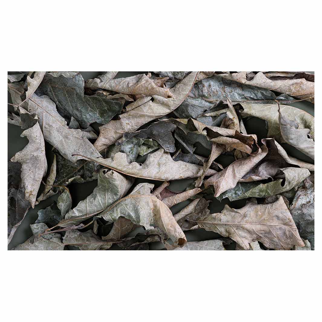 MONOCHROMATIC GREY GREEN LEAVES TABLECLOTH