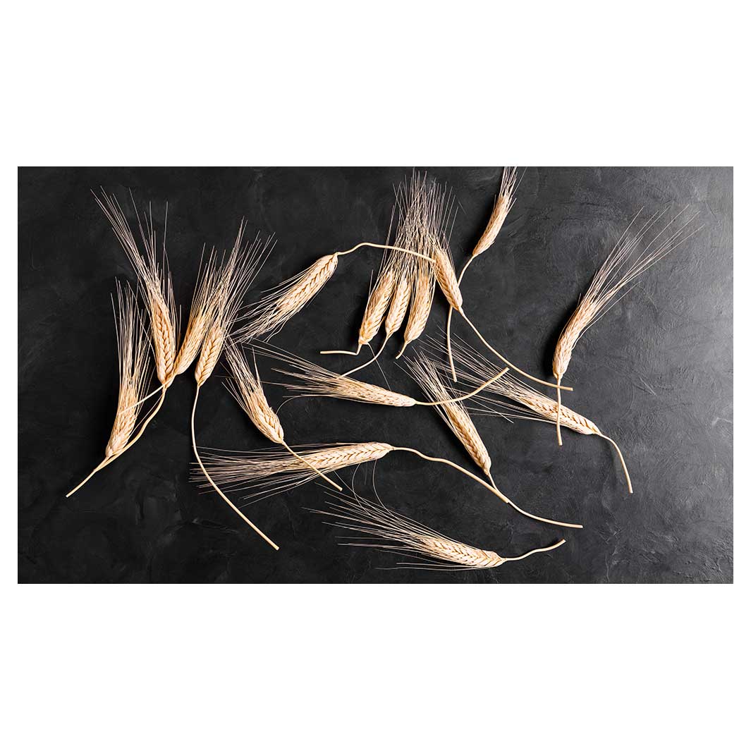 SCATTERED WHEAT ON BLACK TABLECLOTH
