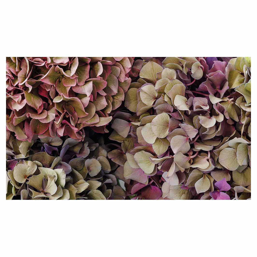 HYDRANGEA DEEP FLORAL TONES TABLECLOTH