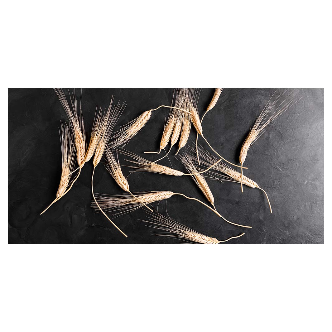 SCATTERED WHEAT ON BLACK TABLECLOTH