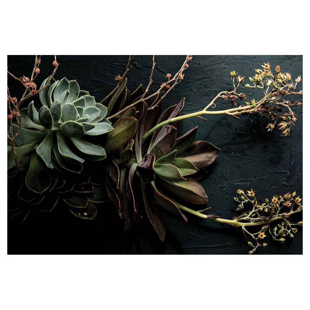 CONTEMPORARY YELLOW BLOSSOMS ALOE BUSH ON BLACK RECTANGULAR RUG