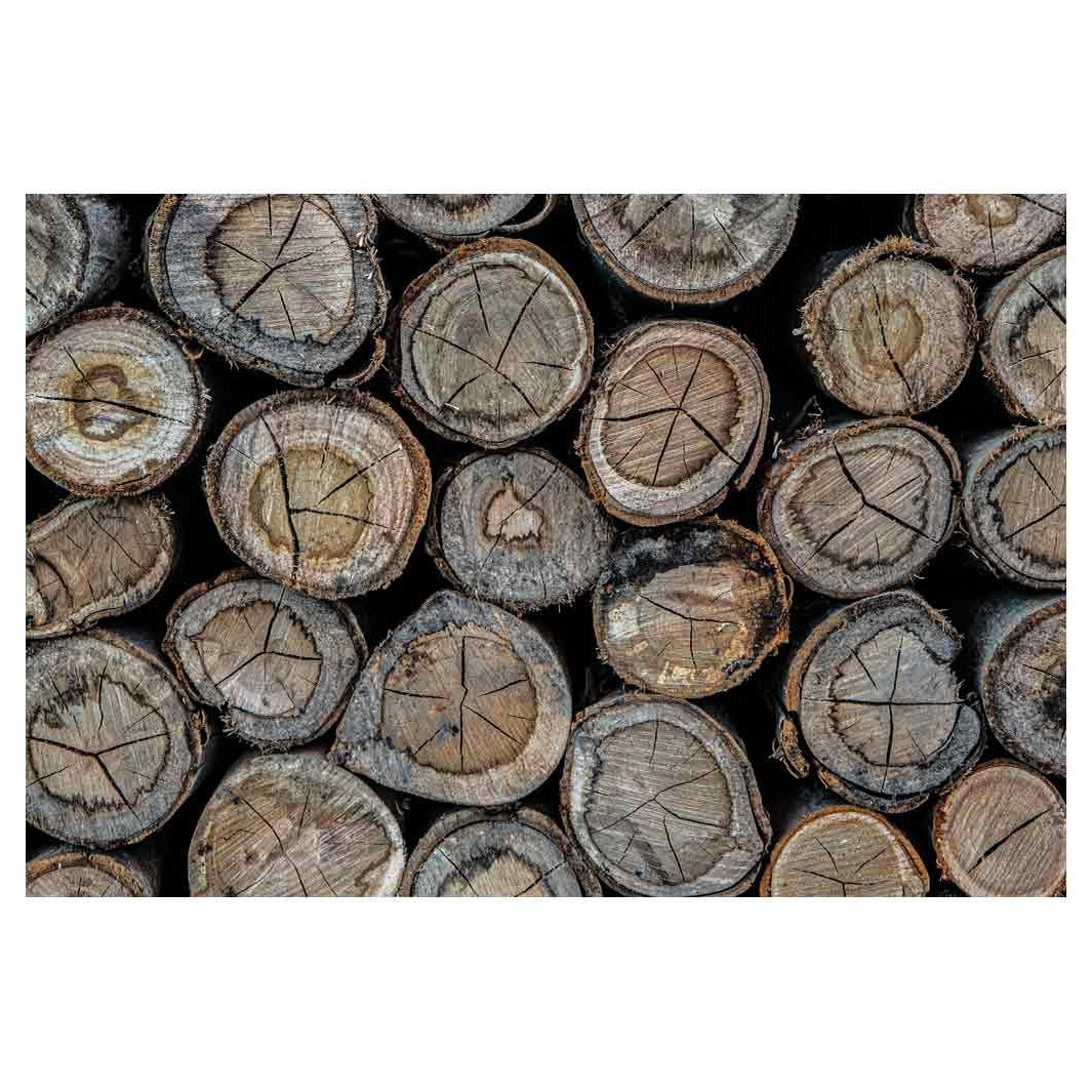 CONTEMPORARY GREY TREE STUMP RECTANGULAR RUG