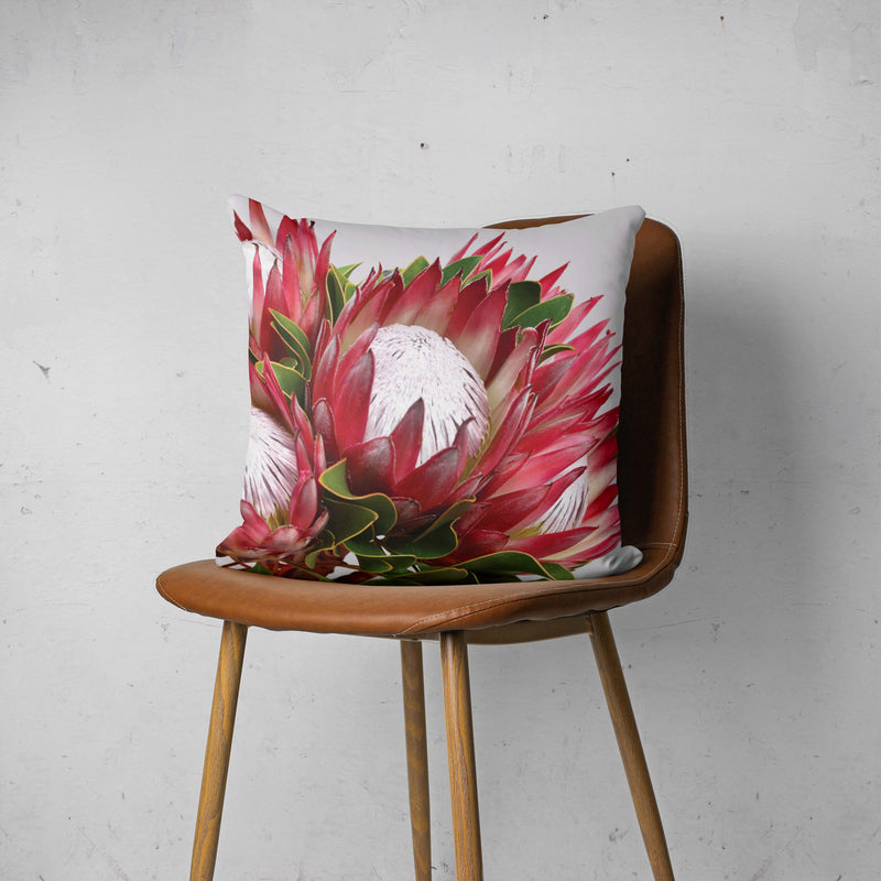 THE CLUSTER PROTEAS SCATTER CUSHION
