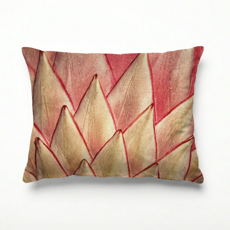 PINK PROTEA DETAIL SCATTER CUSHION