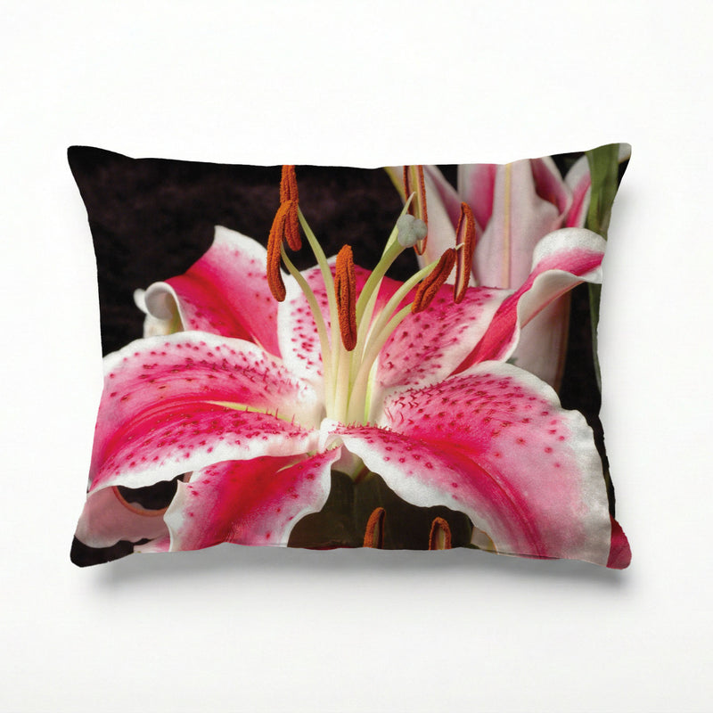 PINK BURST SCATTER CUSHION