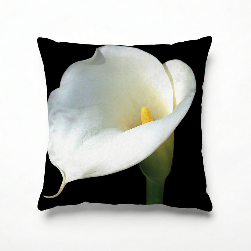 CALLA CURVE SCATTER CUSHION