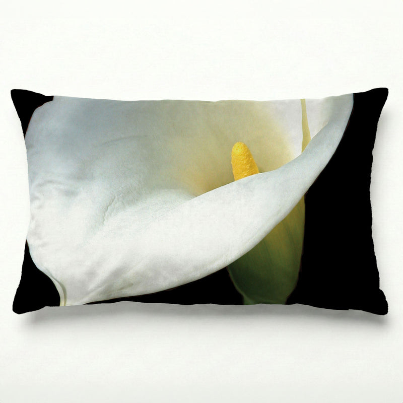 CALLA CURVE SCATTER CUSHION