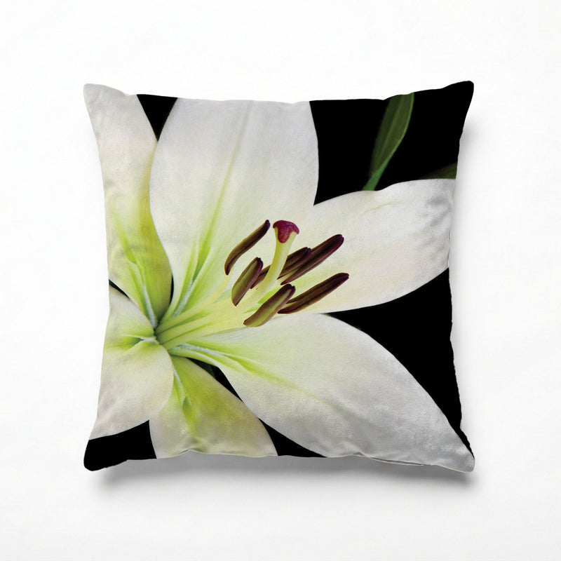 NIGHT LILY SCATTER CUSHION