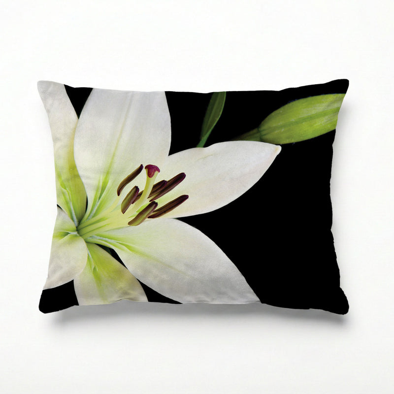 NIGHT LILY SCATTER CUSHION