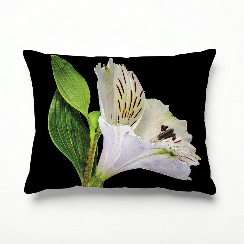 INCA SOLO SCATTER CUSHION