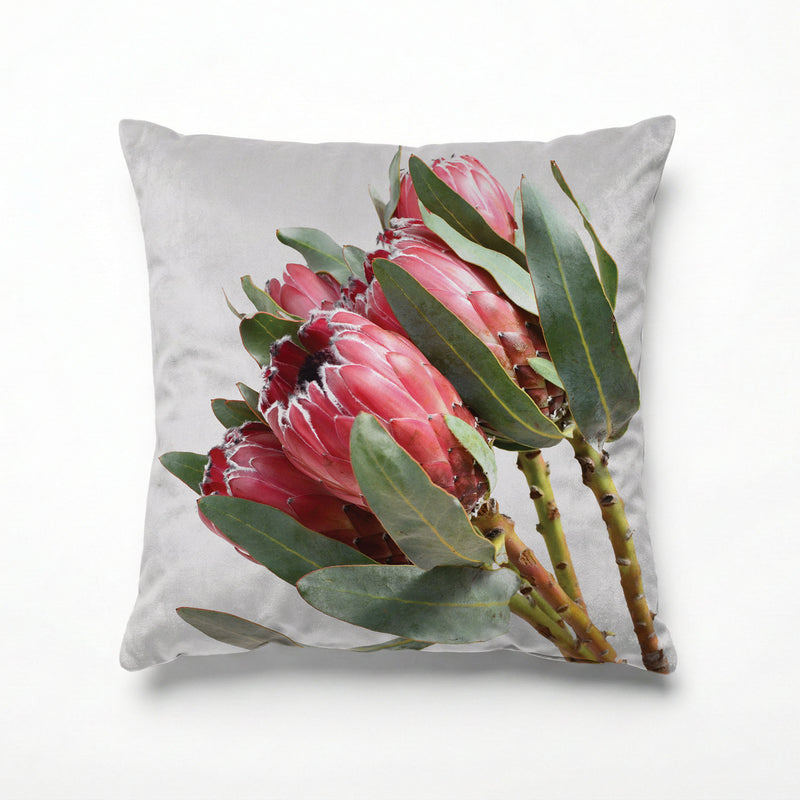 STANDING TALL PROTEAS SCATTER CUSHION