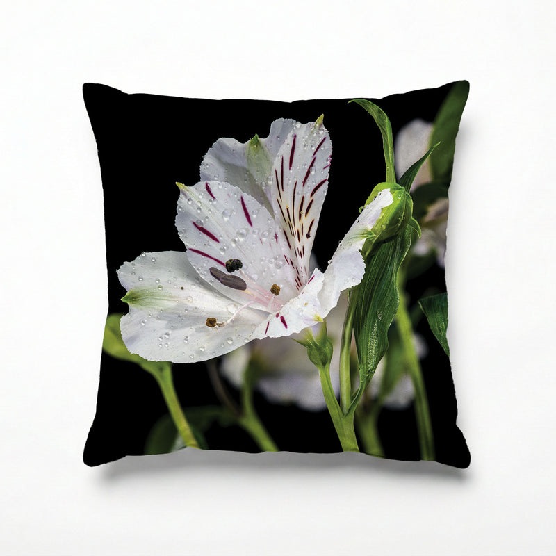INCA TRIO SCATTER CUSHION
