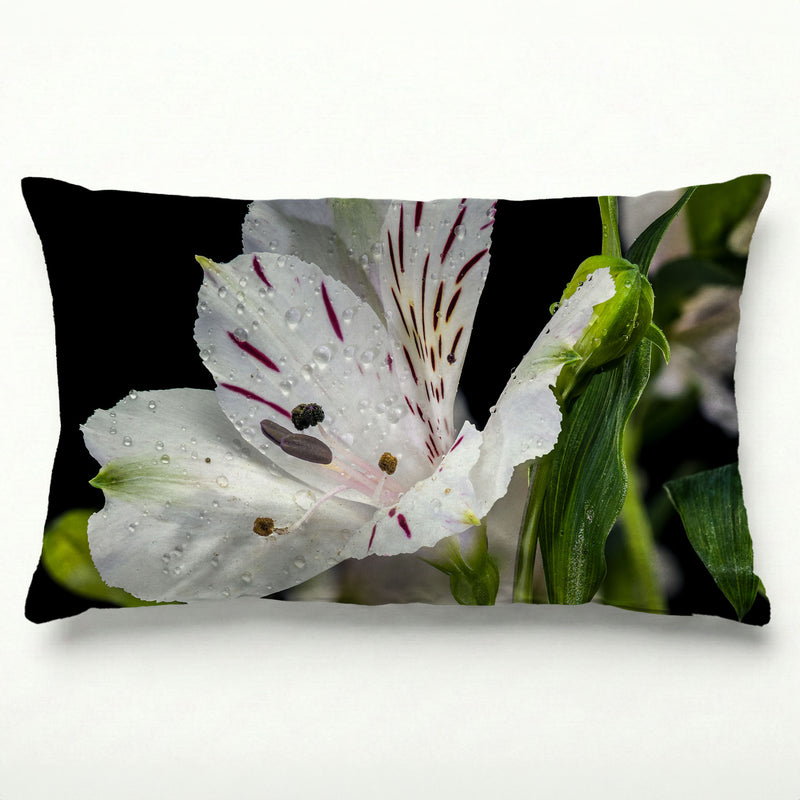 INCA TRIO SCATTER CUSHION