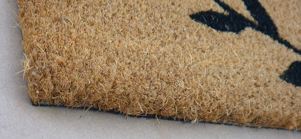 MAKE TODAY AWESOME - PRINTED COIR VINYL-BACKED DOORMAT