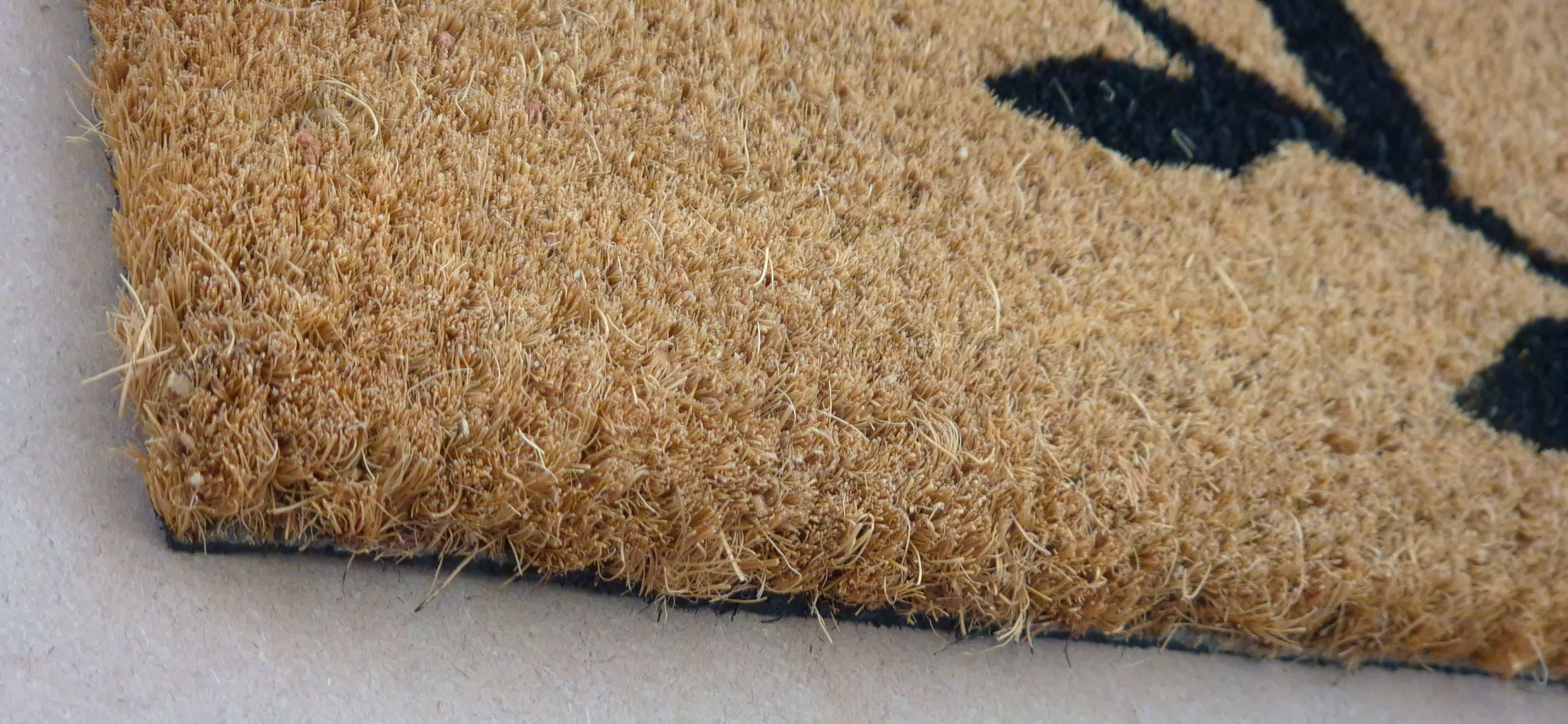 WELCOME FLORAL DESIGN - PRINTED COIR VINYL-BACKED DOORMAT