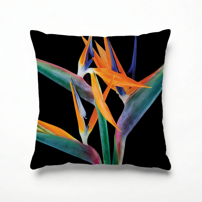 BIRD OF PARADISE SCATTER CUSHION