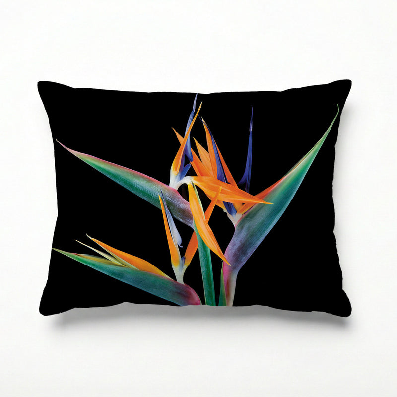 BIRD OF PARADISE SCATTER CUSHION
