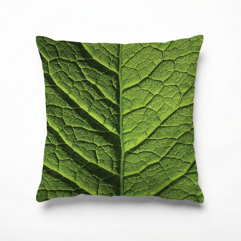GREEN VEINS SCATTER CUSHION