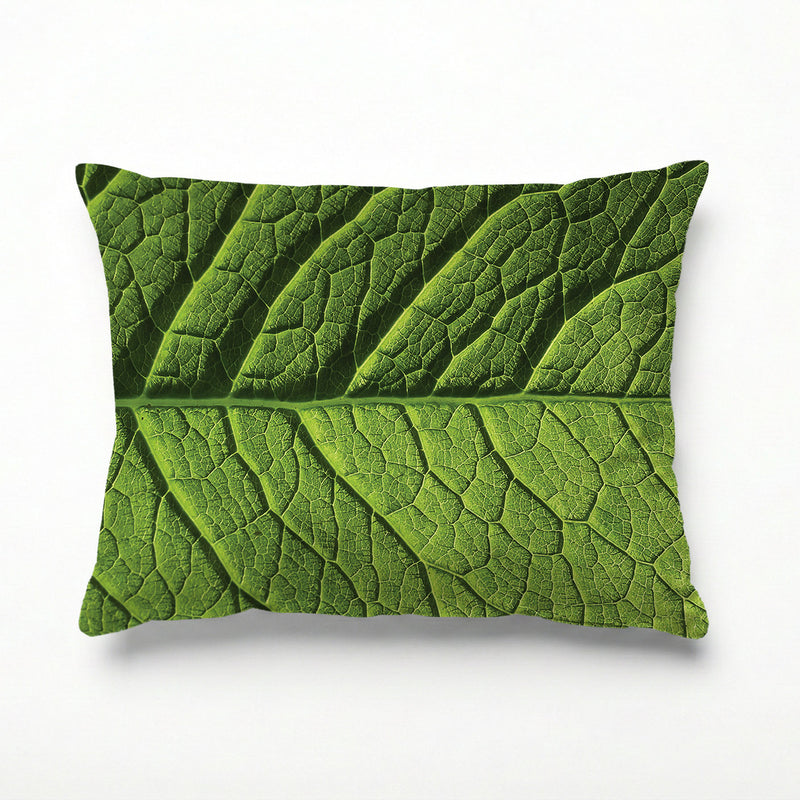GREEN VEINS SCATTER CUSHION