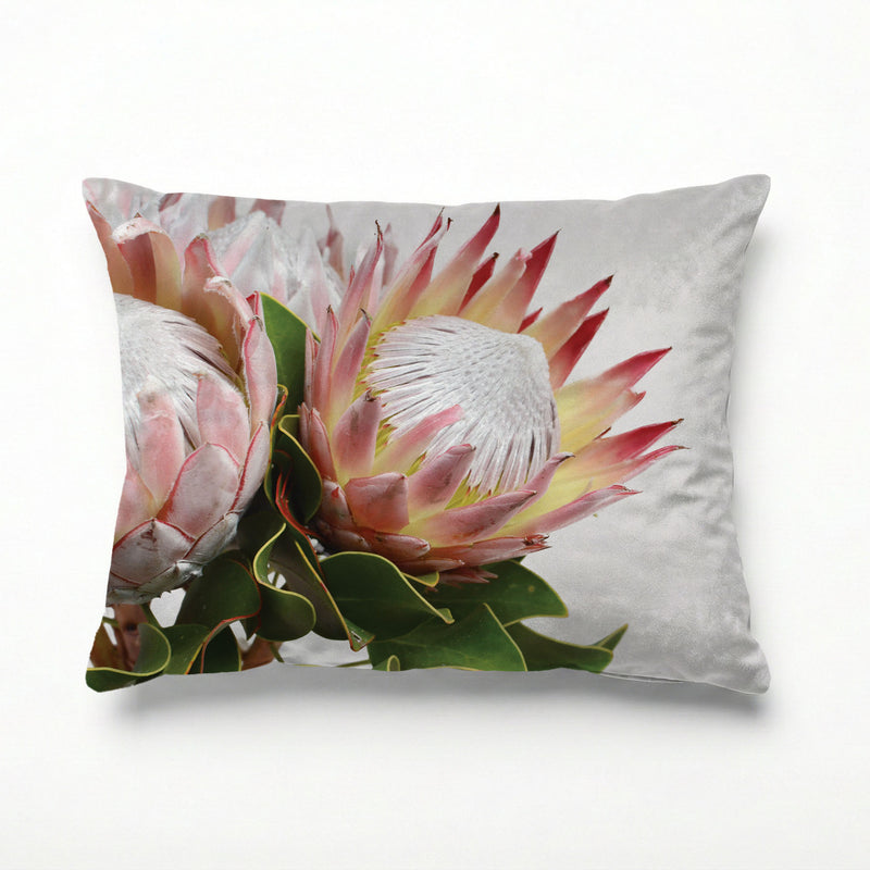 SOFT TRIO PROTEAS SCATTER CUSHION