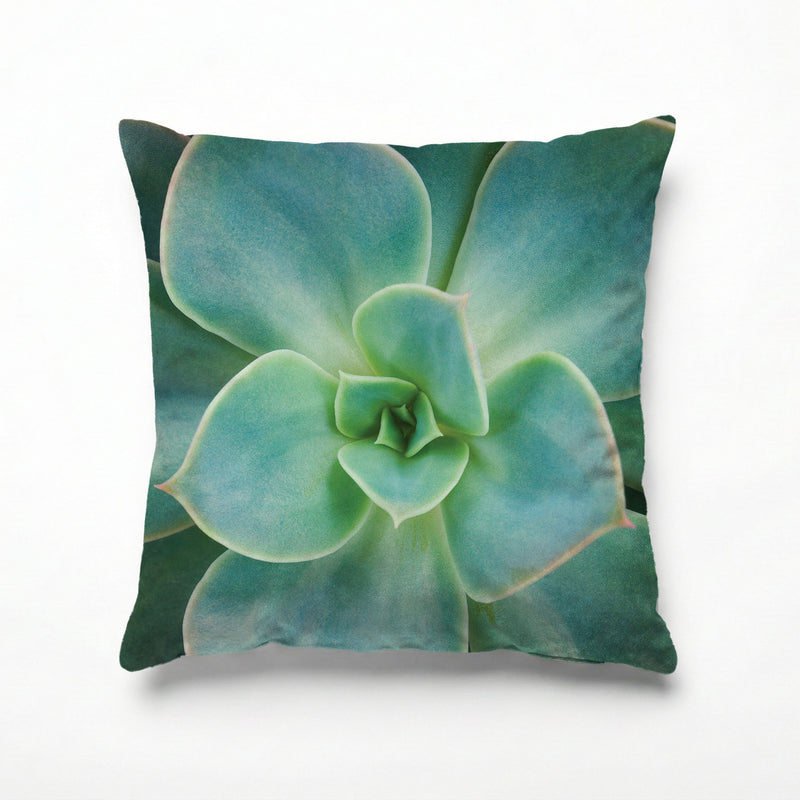 SOFT ROSETTE SUCCULENT SCATTER CUSHION