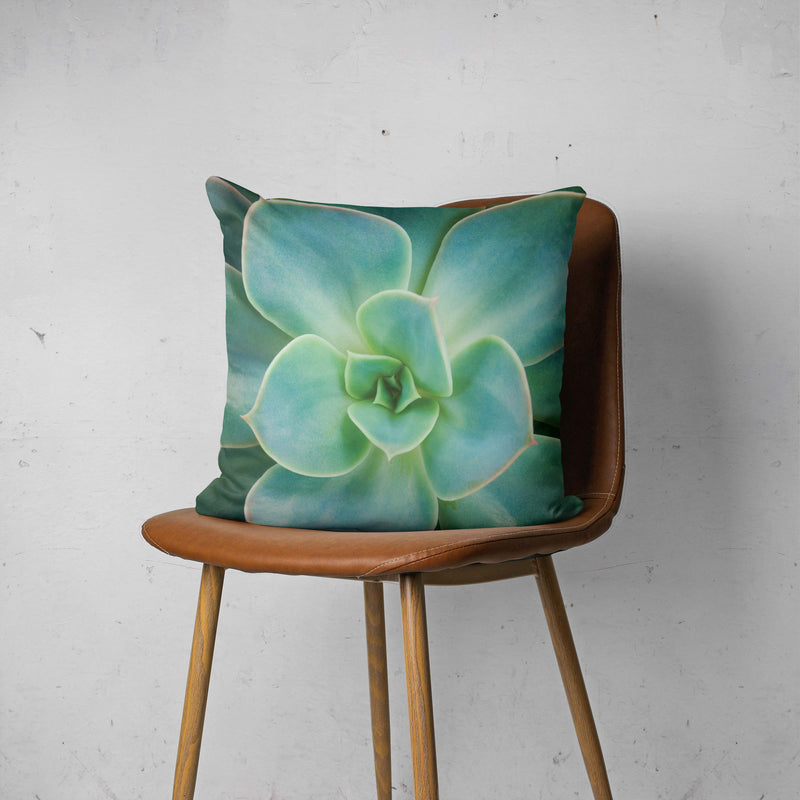 SOFT ROSETTE SUCCULENT SCATTER CUSHION