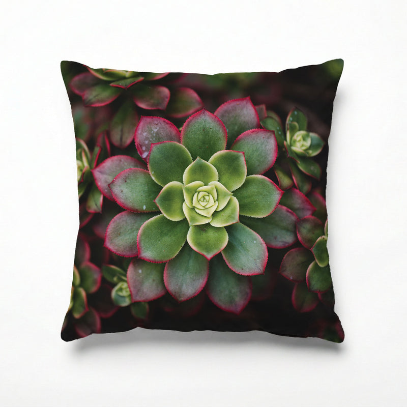 DARK GARDEN SUCCULENTS SCATTER CUSHION