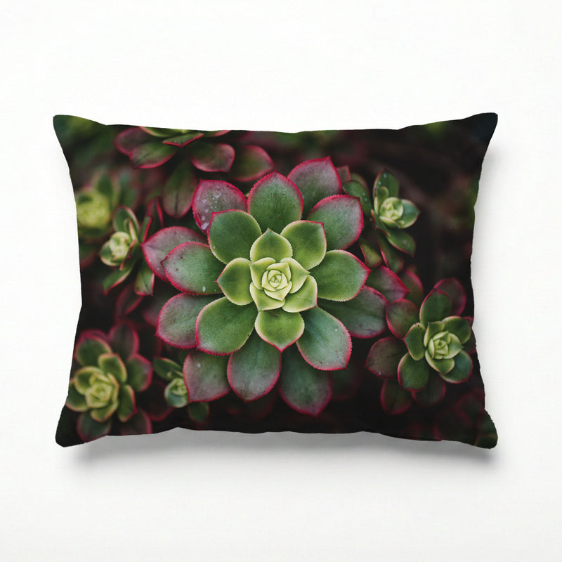 DARK GARDEN SUCCULENTS SCATTER CUSHION