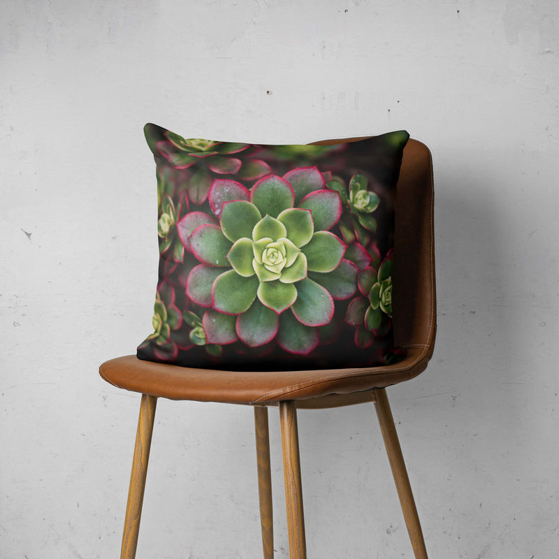 DARK GARDEN SUCCULENTS SCATTER CUSHION