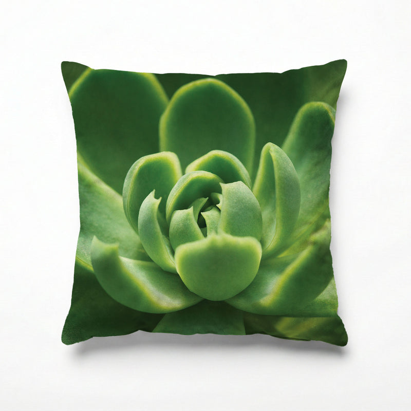 GREEN CORE SUCCULENT SCATTER CUSHION