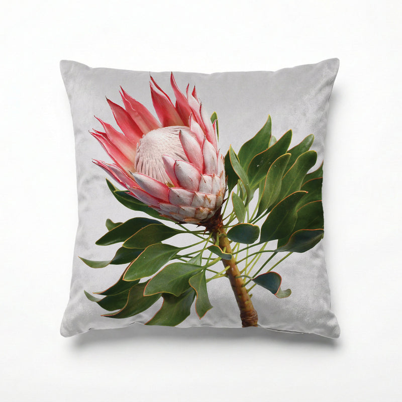 THE SOLO PROTEA SCATTER CUSHION
