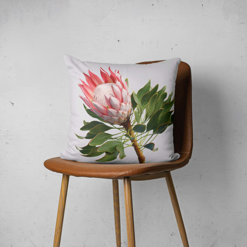 THE SOLO PROTEA SCATTER CUSHION