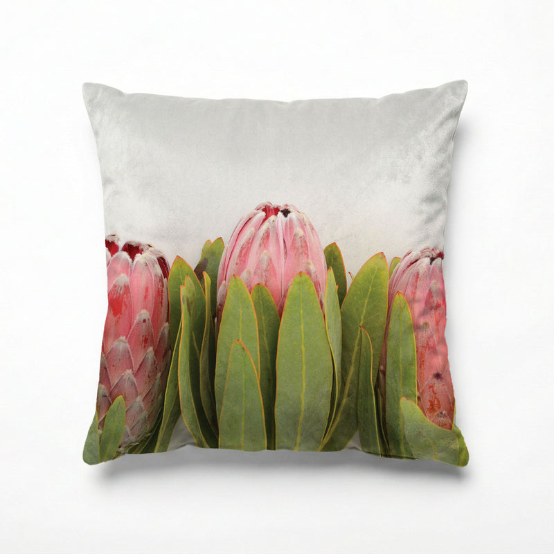 LINED UP PROTEAS SCATTER CUSHION